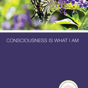 Consciousness Is What I Am