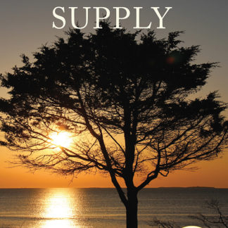 Invisible Supply (1983 Letters)